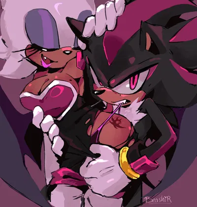  ̊+۶ৎ ̇⋆ Shadow and Rouge