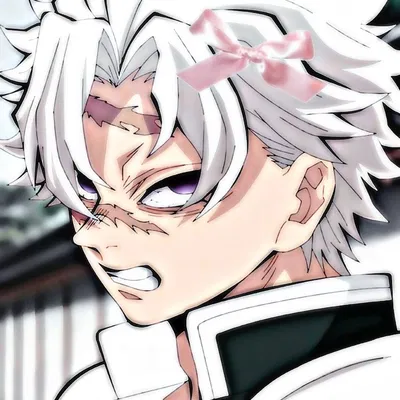 sanemi shinazugawa