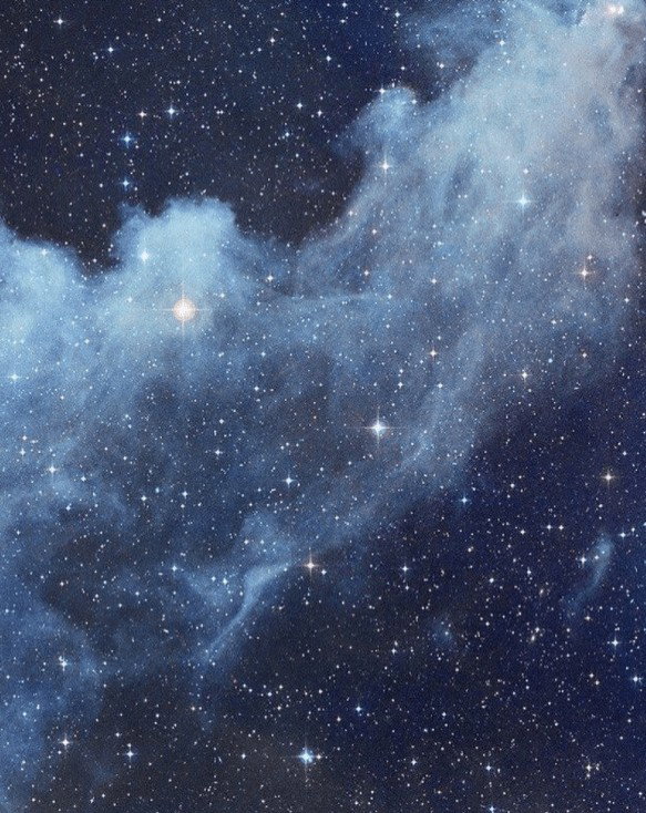 The Astronomer
