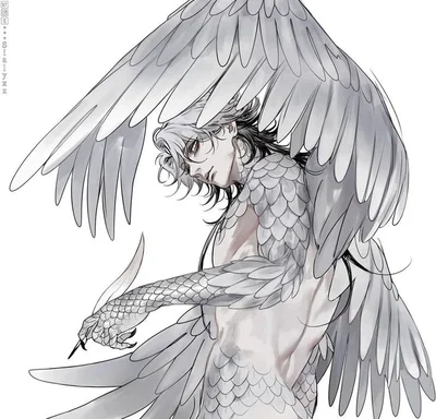 DemiHuman December 『A scar that will never heal』☆Black-Shouldered Kite☆
