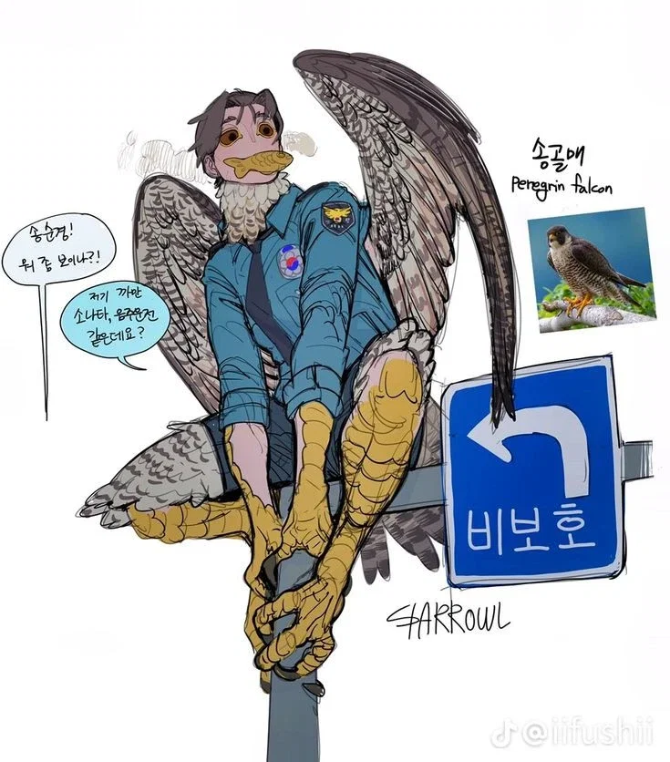 DemiHuman December 『Peregrine falcon』☆Eyes of the sky☆