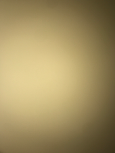 Accidentally making a toon