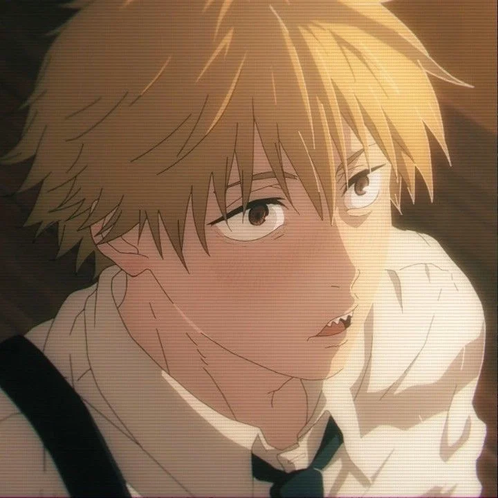 CSM | DENJI