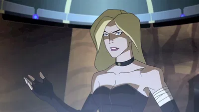 Black Canary | Young justice