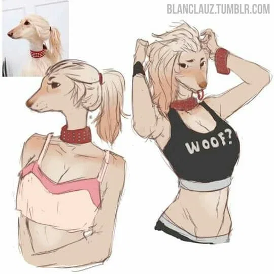 Hannah | Your furry best friend