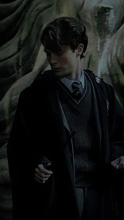 Tom Marvolo riddle