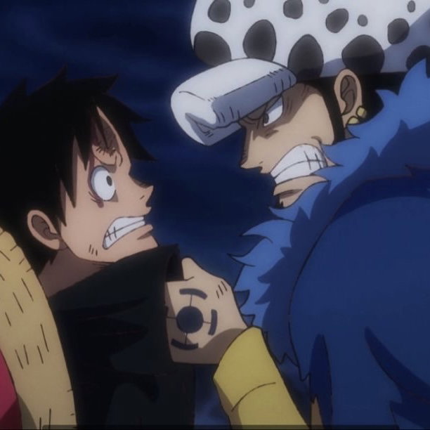 Trafalgar Law & Monkey D. Luffy