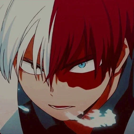 Shoto Todoroki