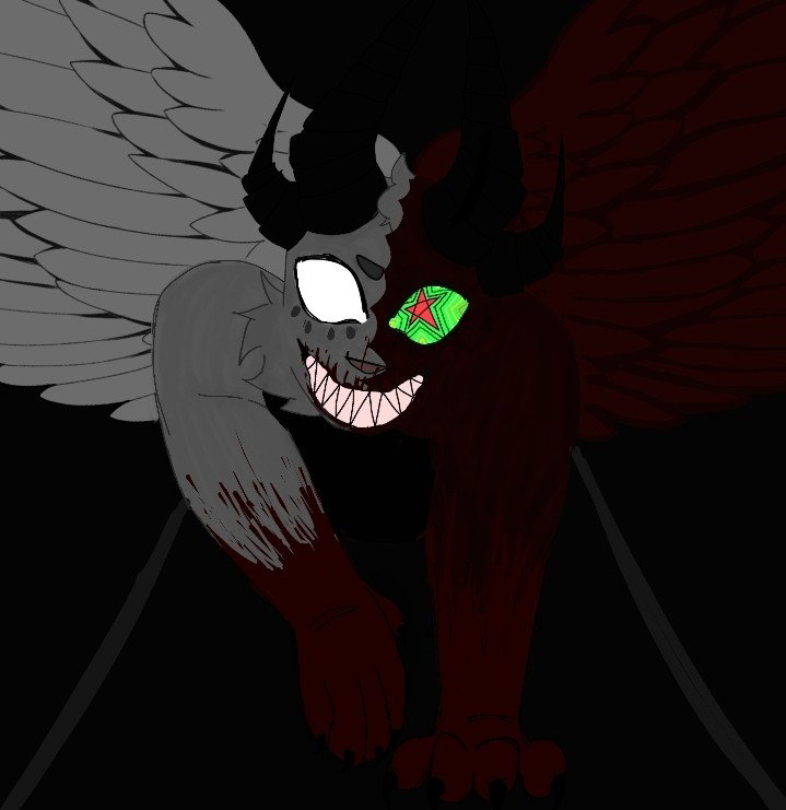 Echo