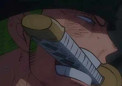 (TIGER AU) Zoro