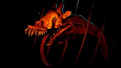 The Zoochosis Madness | Apocalypse Universe 