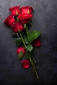 Rose Белый