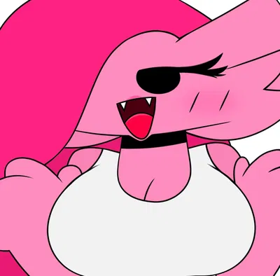 Kikki