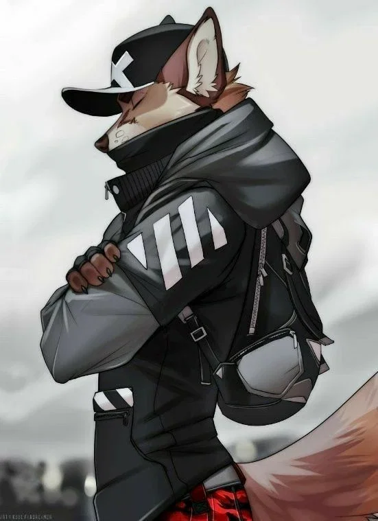 Furry Hacker