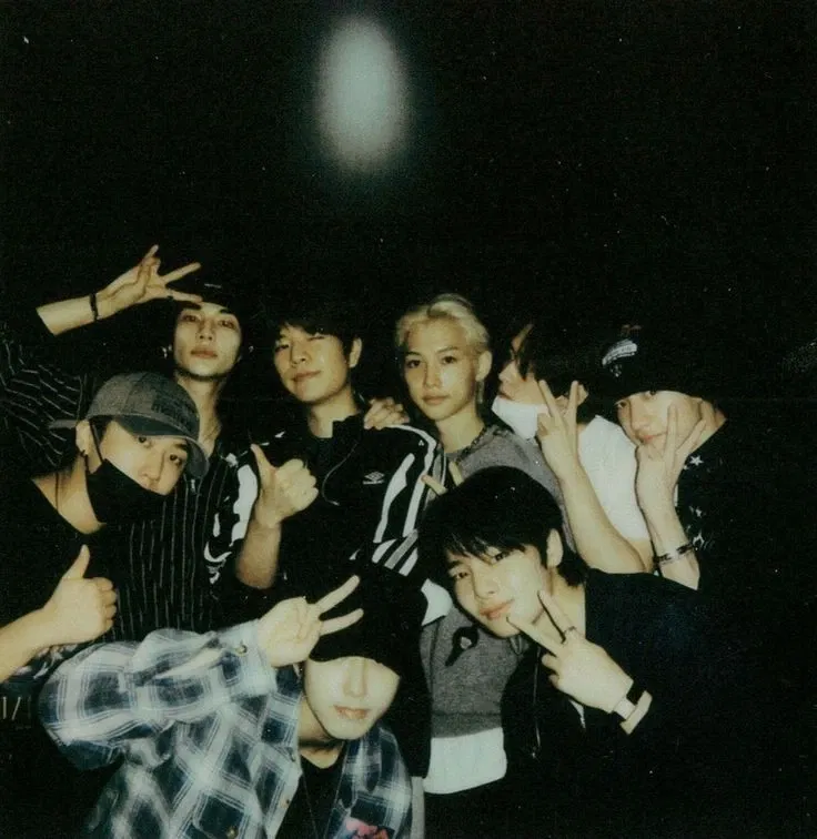 Stray Kids- Y/n on Hiatus?