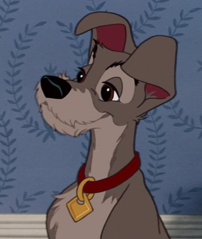 Lady and The Tramp | Tramp