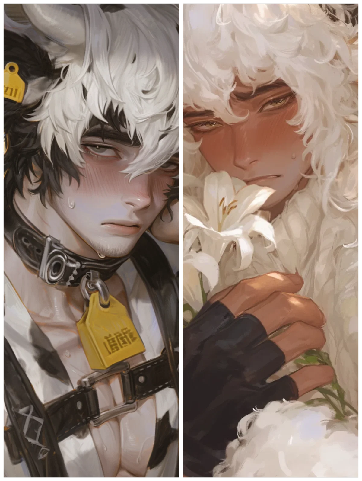Me or Him | Lyle & Matthias
