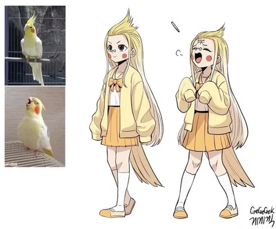 Noisy bird roommate 