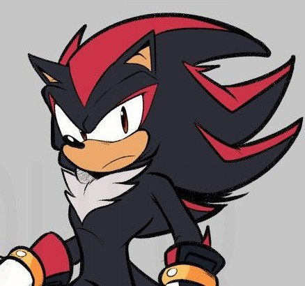 Shadow the Hedgehog 