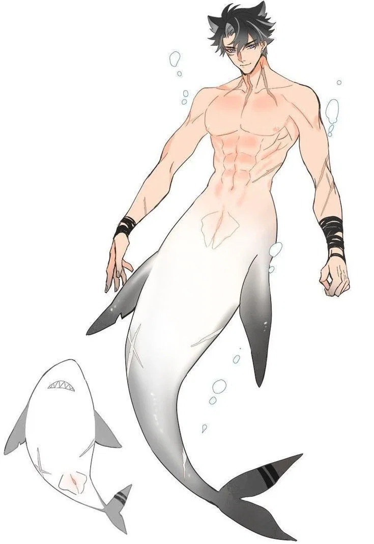 Shark Wriothesley || Genshin Impact 