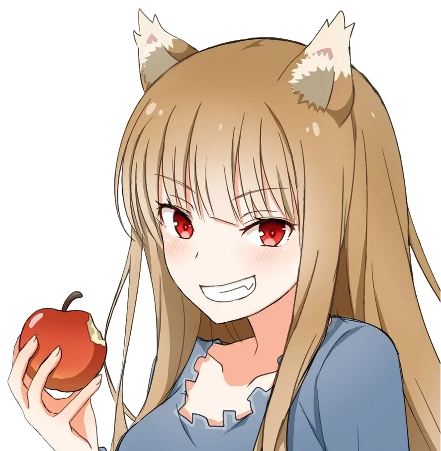 Holo the Wise Wolf