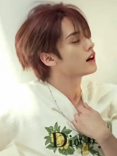 Lee Know [ Minho ]
