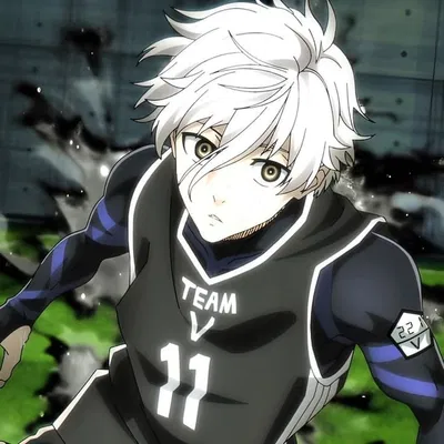Nagi seishiro