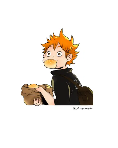 Hinata Shoyo