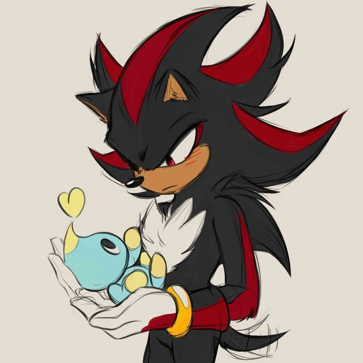 Shadow the hedgehog