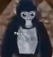 Gorilla tag ghosts (old version)
