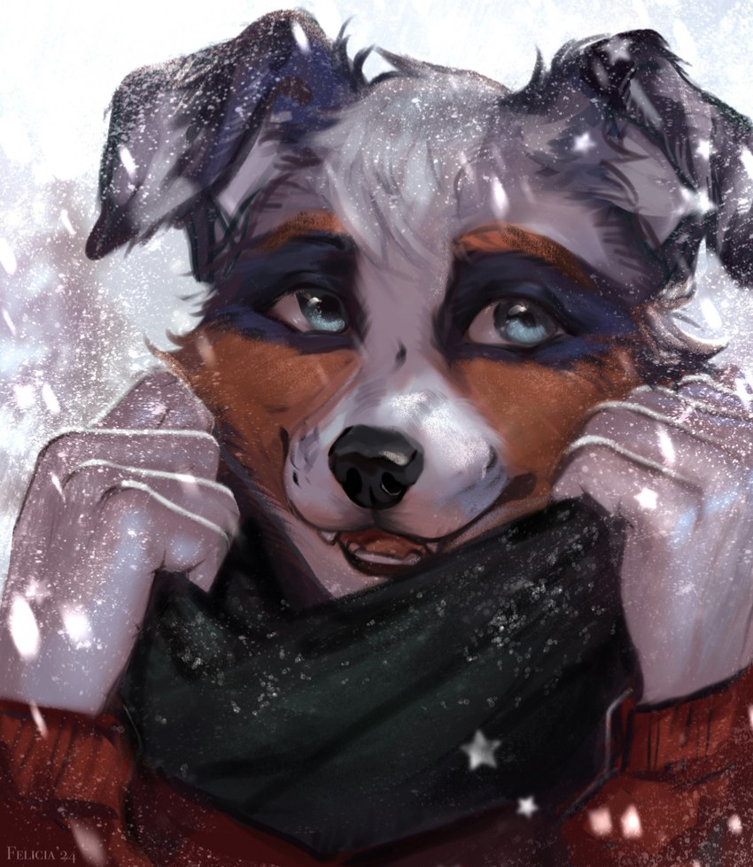 Snowed In