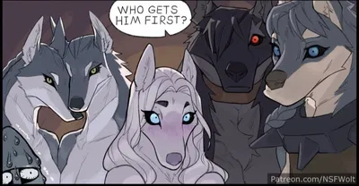The wolf den