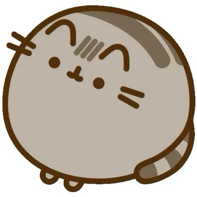 BOT REQUESTS