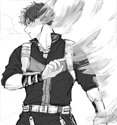 Shoto Todoroki (Shoto) ❄️🔥 || My Hero Academia || MHA 