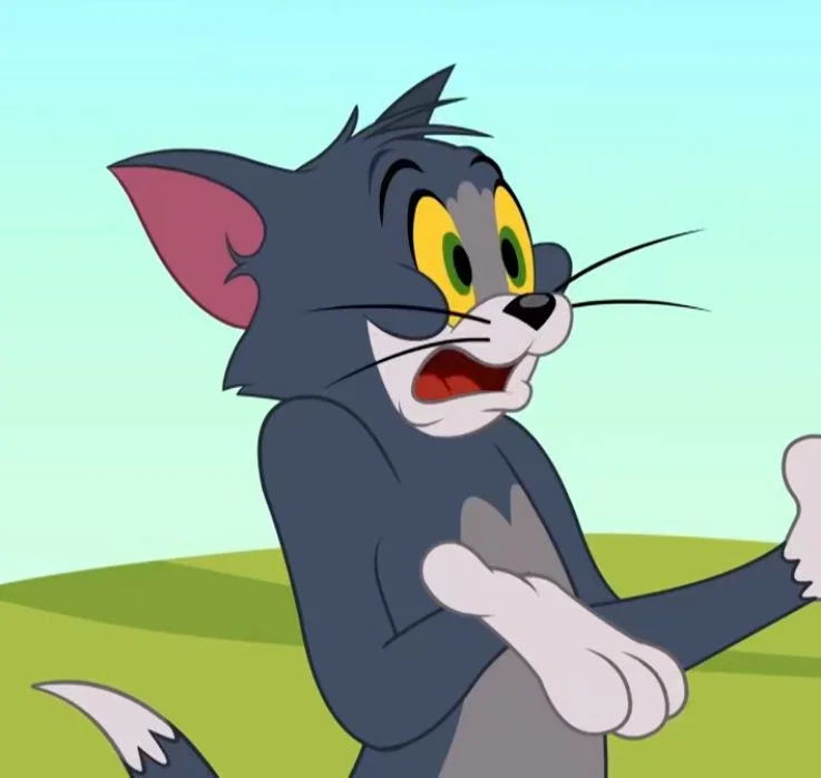 Tom Cat