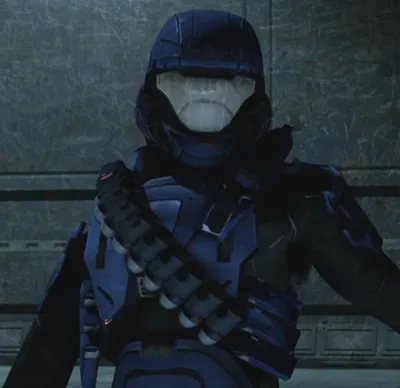Agent Florida