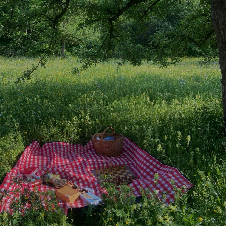 Picnic with Webttore