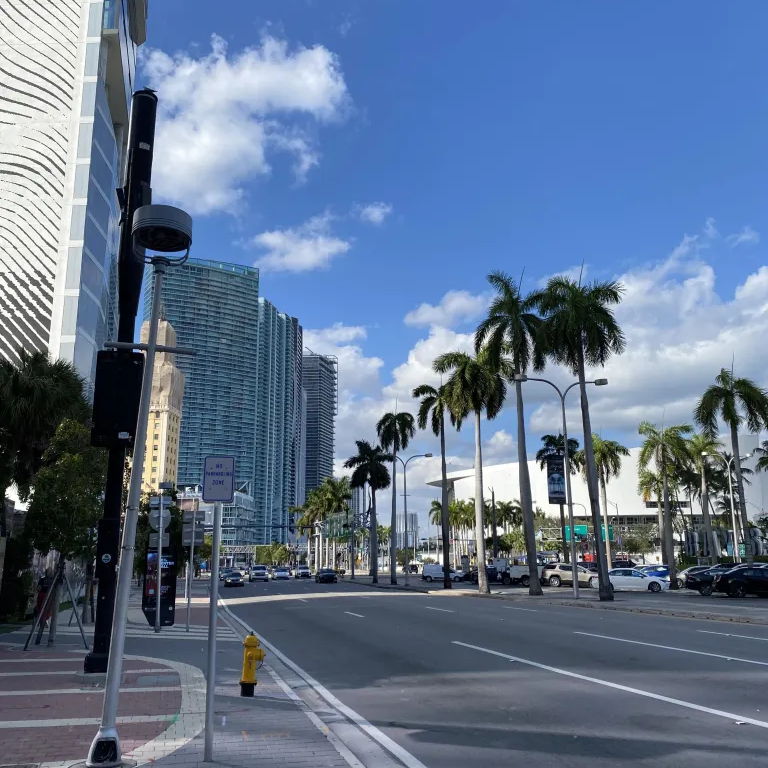 Florida Dottore