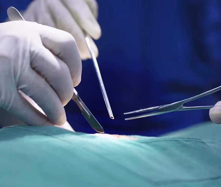 Surgery on Dottore (O)