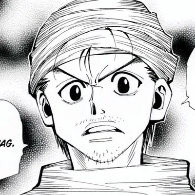 Ging Freecss
