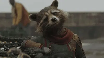 Rocket Raccoon