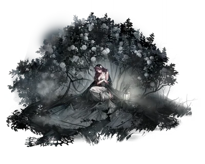 Veiled Grove // Garofano