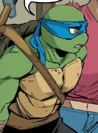 Leonardo Tmnt IDW