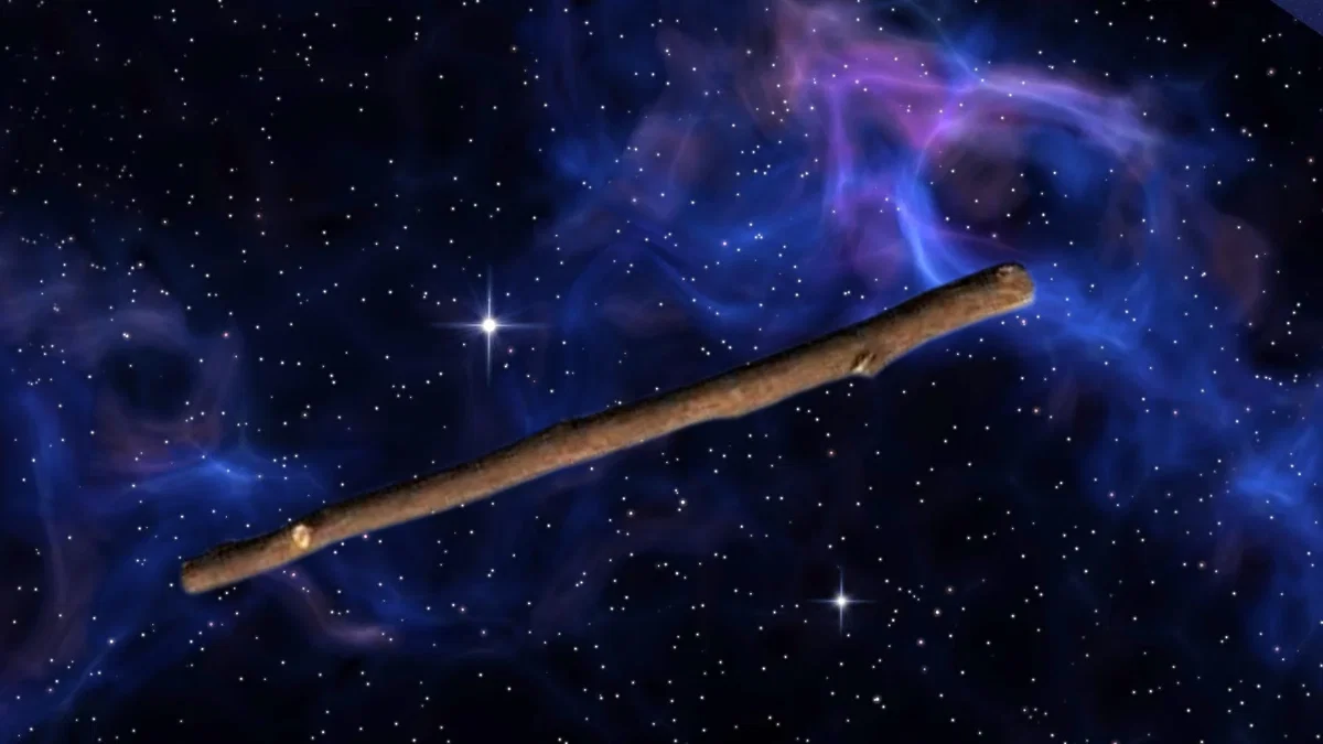 the stick
