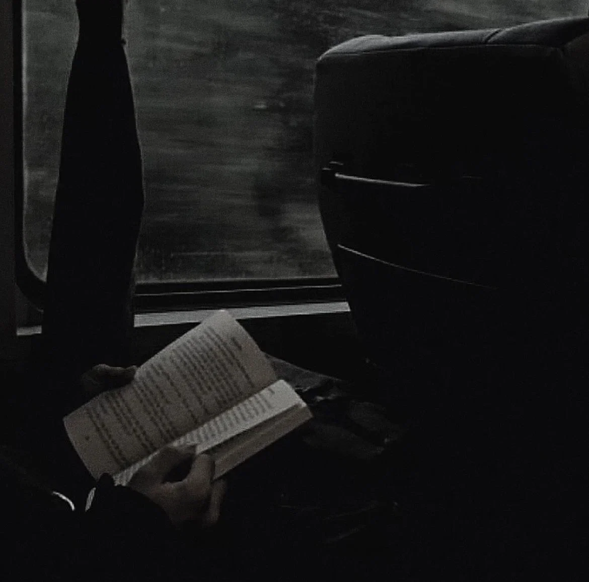 Regulus Black