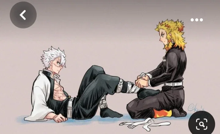 Kyojuro Rengoku  and Sanemi Shinazugawa 