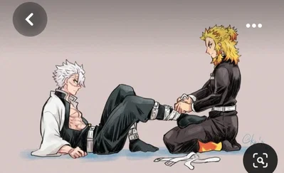 Kyojuro Rengoku  and Sanemi Shinazugawa 