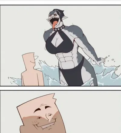 Shark lifeguard