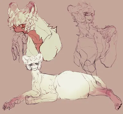 Thadras: Reluctant sphinx