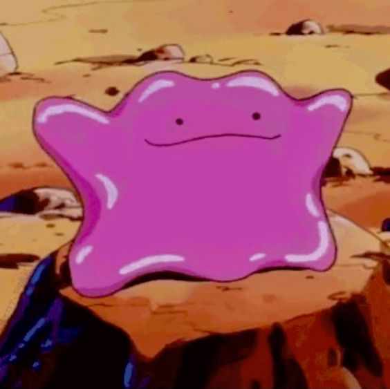 DittoBot